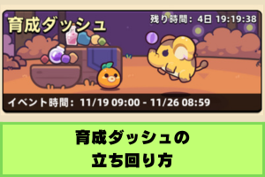 カピバラGo 育成ダッシュ