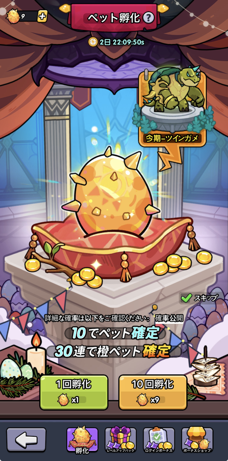 ペット