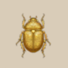 黄金のスカラベ